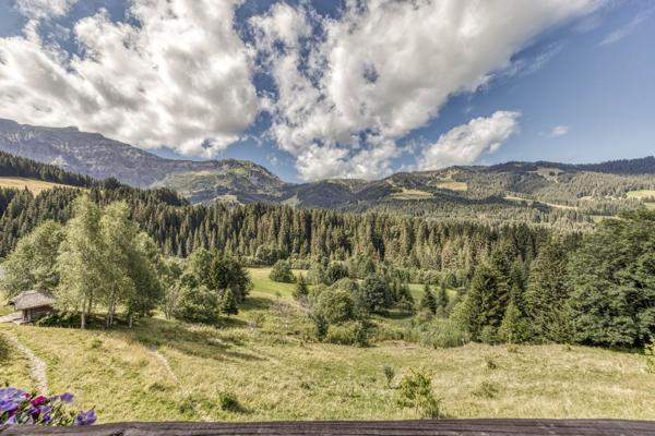 Vente Chalet de luxe Megève 12 Pièces 843 m²