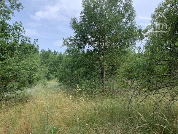 À vendre un terrain de loisir plat et boisé, de 4,4 hectares en bordure de rivière.