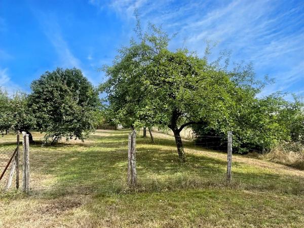 Vente                                                      Maison de village
                        
                     10 pièces                                         à Pexonne