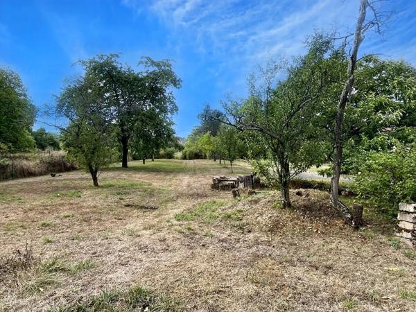 Vente                                                      Maison de village
                        
                     10 pièces                                         à Pexonne