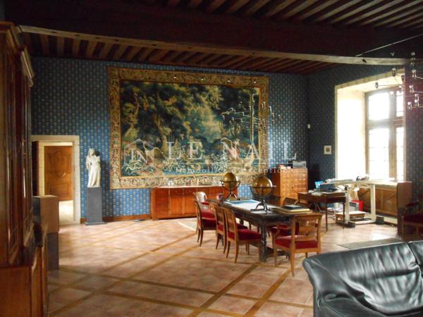 CHÂTEAU FORT DU XVème siècle, REMANIE AU XIXème siècle, DOMINANT LA RIVIERE