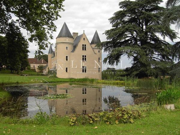 CHÂTEAU FORT DU XVème siècle, REMANIE AU XIXème siècle, DOMINANT LA RIVIERE