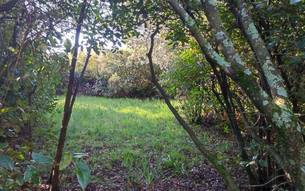 Maison à vendre    5 pièces • 138 m2 Nîmes