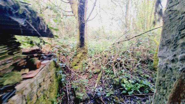 Corps de ferme à vendre à Champsevraine en Haute-Marne (52500), ref :