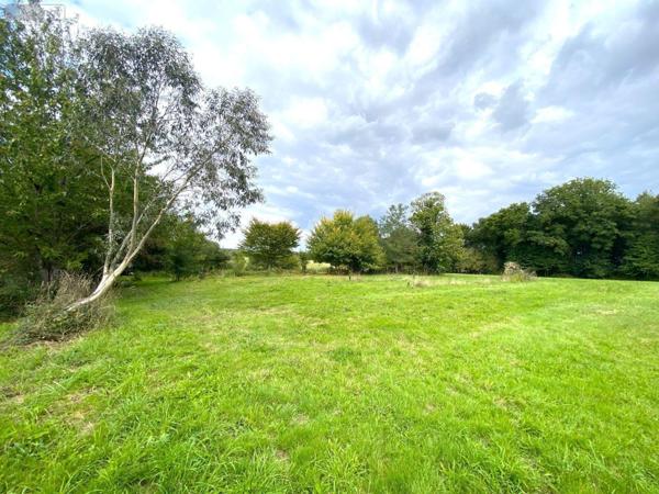 Maison restaurée à vendre à Goven en Ille-et-Vilaine (35580), ref : JS/451