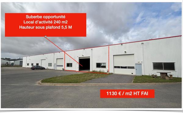 Locaux d'activité Douvres la Délivrande 239 m2