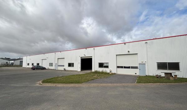 Locaux d'activité Douvres la Délivrande 239 m2