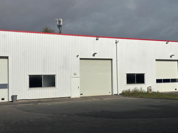 Locaux d'activité Douvres la Délivrande 239 m2