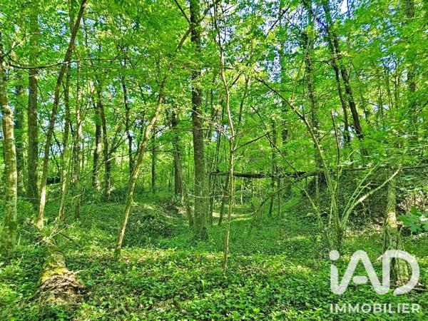 Maison à vendre 5 pièces 120 m² Luynes