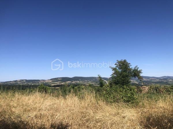 Terrain de 981 m²