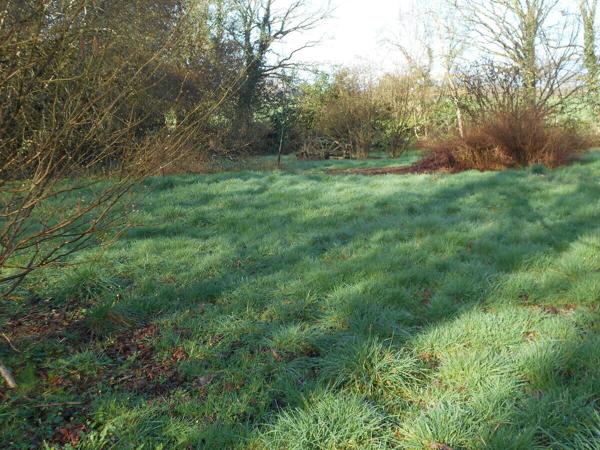 Longère rénovée, dépendances et 2,69 Ha 234 800 € H.A.I.*