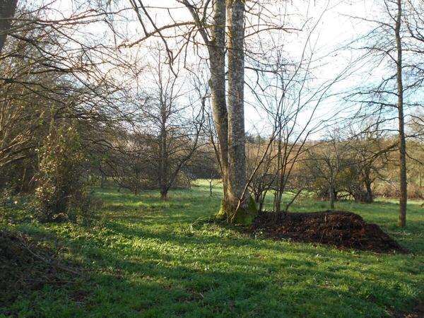 Longère rénovée, dépendances et 2,69 Ha 234 800 € H.A.I.*