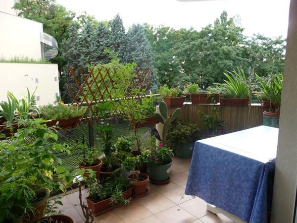Appartement à vendre |  Villeurbanne |  3 pièces | 65 m²