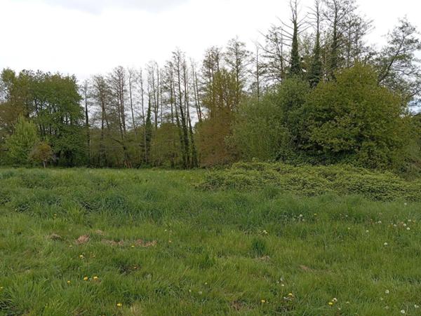 Propriété secteur Mayenne