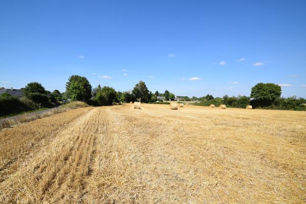 Maison sur la Commune de LASSE 49490