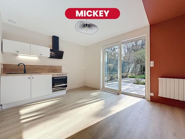 MICKEY  - studio - 22 m2 - Saint Maurice Pellevoisin