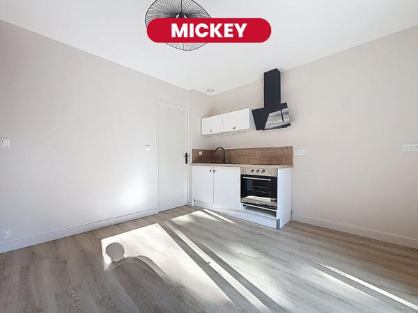 MICKEY  - studio - 22 m2 - Saint Maurice Pellevoisin