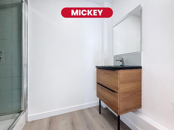 MICKEY  - studio - 22 m2 - Saint Maurice Pellevoisin