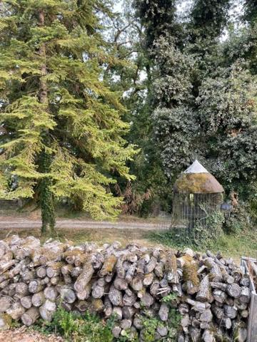Vente / Maison