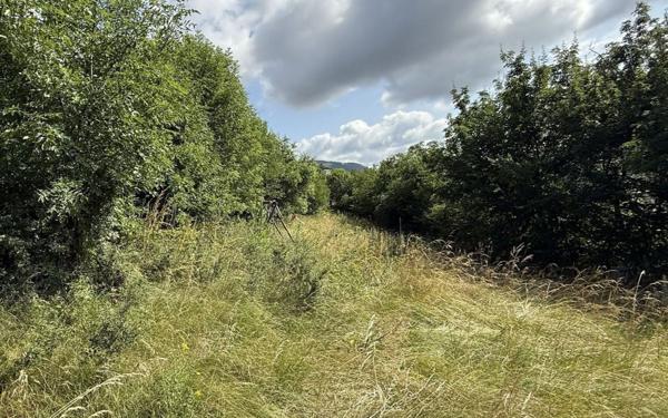 Maison à vendre    4 pièces •  Chanac