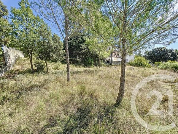 Terrain à vendre  1029 m2 PRADES LE LEZ - 34