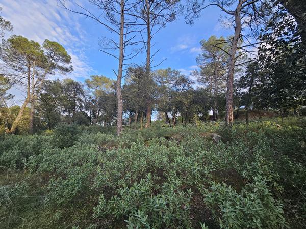 Maison spacieuse avec 5 chambres garage et piscine à Nans les Pins dans un quartier privilégié