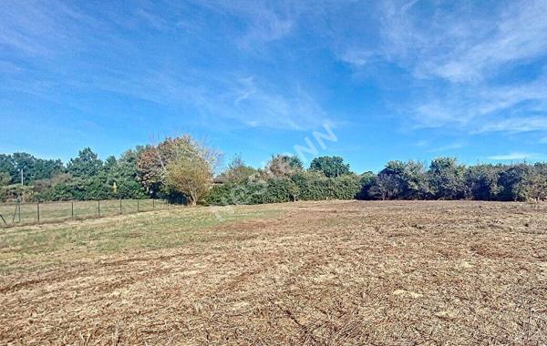 Terrain constructible viabilisé de 765 m² proche de Montauban