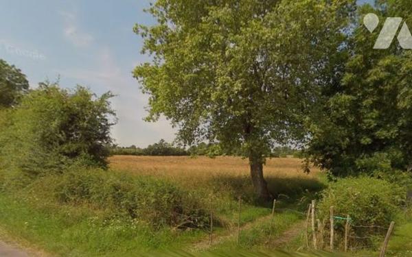 BREUIL-CHAUSSEE 79 Terres Agricoles
