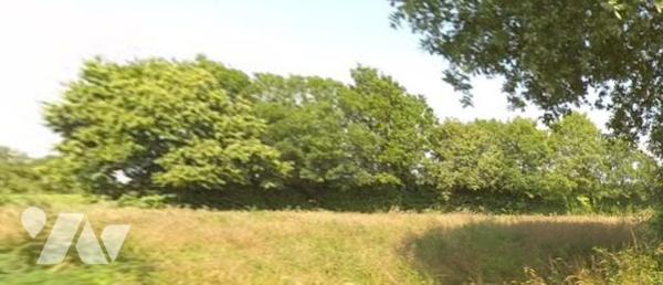 BREUIL-CHAUSSEE 79 Terres Agricoles