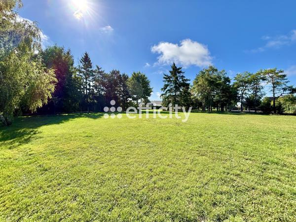 Maison 5 pièces - 117 m²