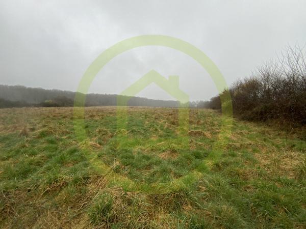 Terrain à LIGNEROLLES (36160)