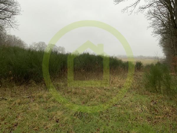 Terrain à LIGNEROLLES (36160)