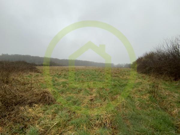 Terrain à LIGNEROLLES (36160)