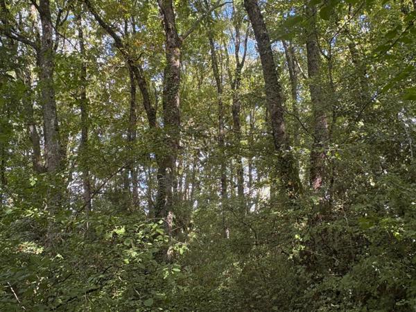 Ensemble immobilier 200m2 sur terrain constructible 2500m2