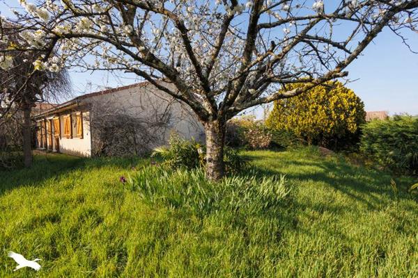 Maison à vendre |                                       Saint-Orens-de-Gameville |                                        4 pièces  |  99 m²