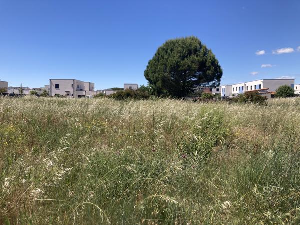 Terrain
        
        - 356 m² 103 000 € *