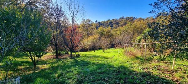 Belle propriété avec un vaste terrain arboré