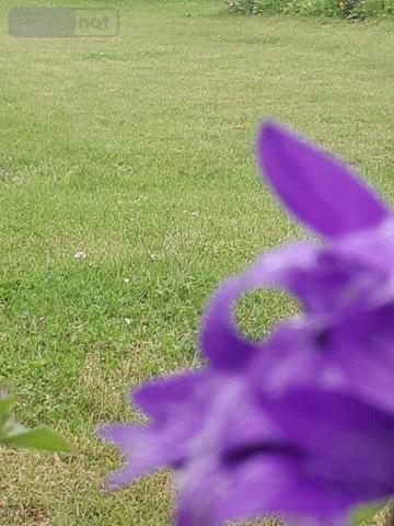 Terrain à Batir à vendre à Treffléan dans le Morbihan (56250), ref : VT296-56008