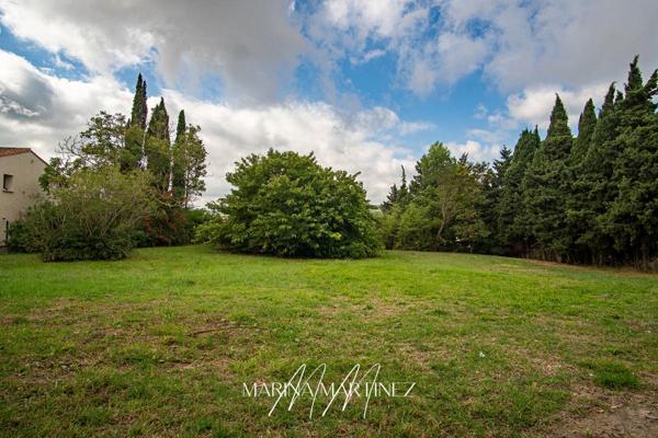 Grand terrain arboré de plus 1 300 m² à proximité de Castelnaudary