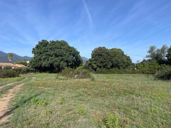 A vendre- Terrain constructible de 900 m2- vue montagnes, Ghisonaccia-Gare