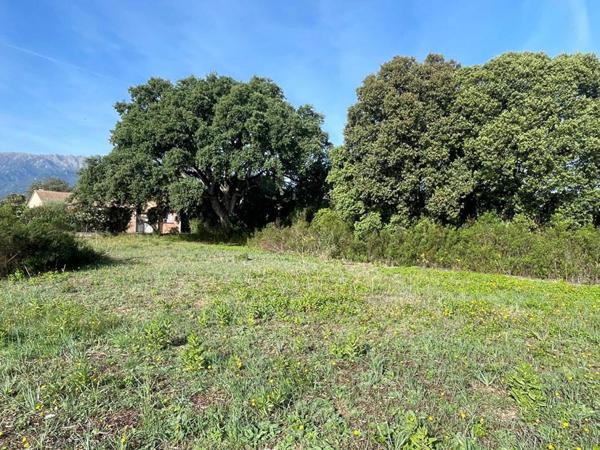 A vendre- Terrain constructible de 900 m2- vue montagnes, Ghisonaccia-Gare