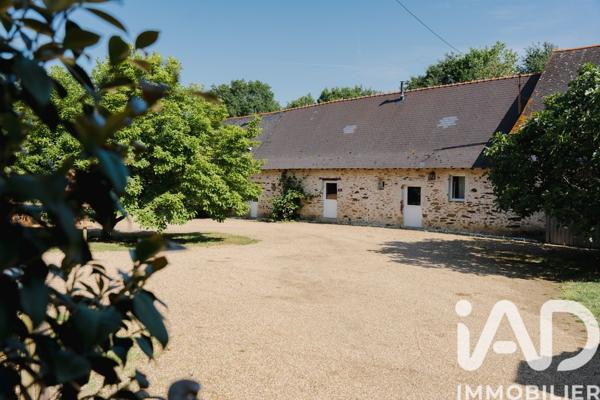 Maison à vendre 20 pièces 527 m² Les Hauts-d'Anjou