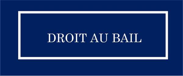 Local Commercial 1 pièce - 25 m² Exclusivité efficity