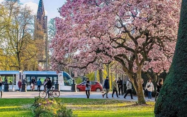 Appartement à vendre    3 pièces • 86,27 m2 Strasbourg