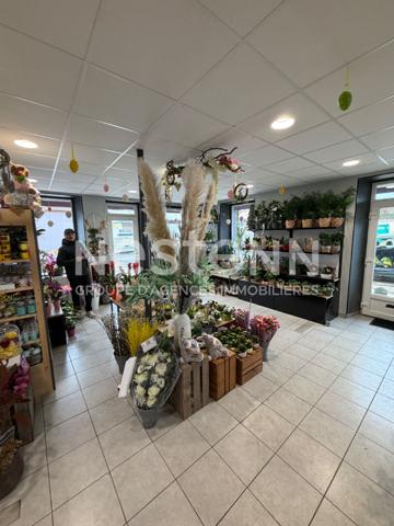 Fonds de Commerce/Fleuriste/Verdun