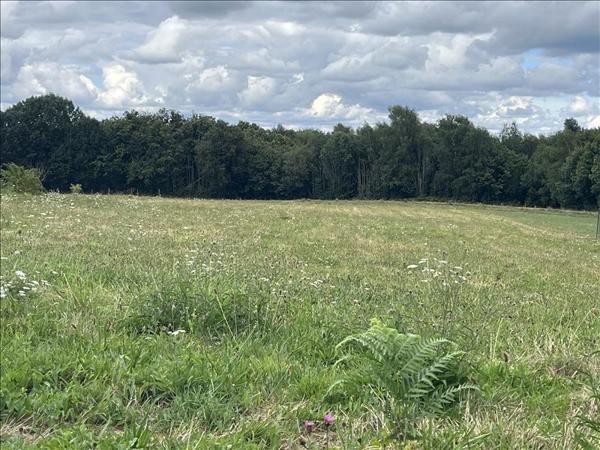 Terrain à vendre |  Angoisse |  3140 m²