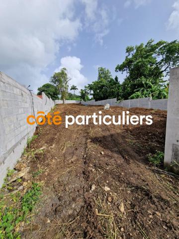 Vente Terrain500 m² - PETIT BOURG (97170)