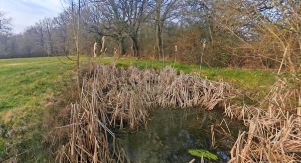 Maison de campagne plain pied avec Terrain de plus de 3600 m² de terrain