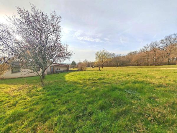 Maison de campagne plain pied avec Terrain de plus de 3600 m² de terrain