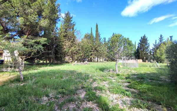 Terrain à vendre    La Palme